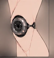 Detail — knee