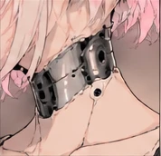 Detail — collar