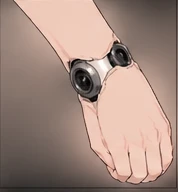Detail — wrist
